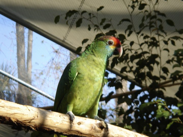 DSC00736