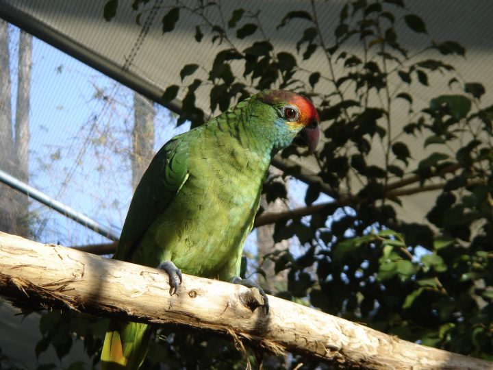 DSC00737