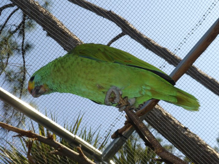 DSC00738