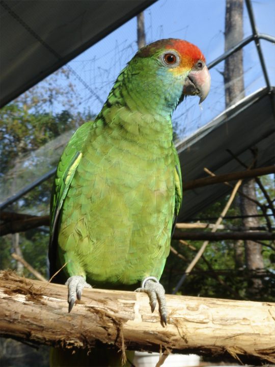 DSC00744