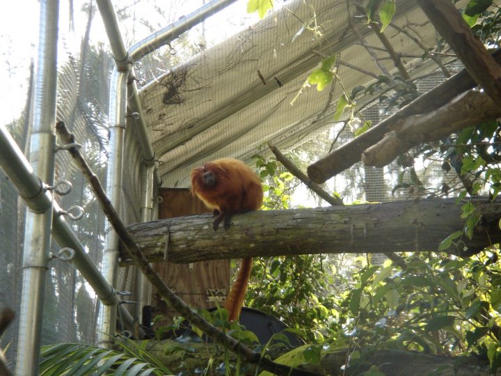 DSC00747