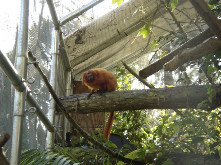 DSC00748