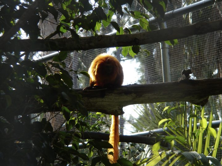DSC00751