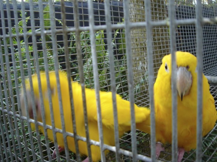 DSC00764