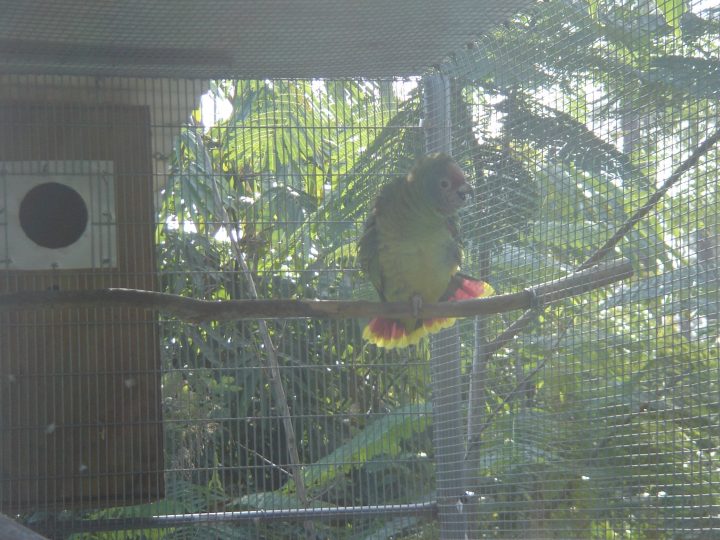 DSC00768