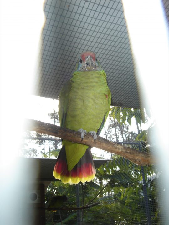 DSC00769
