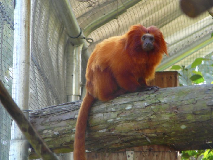 P1010378