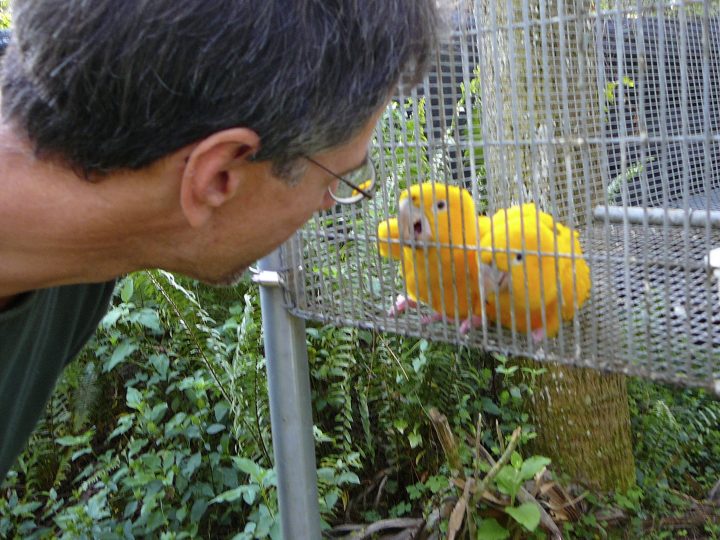 P1010384