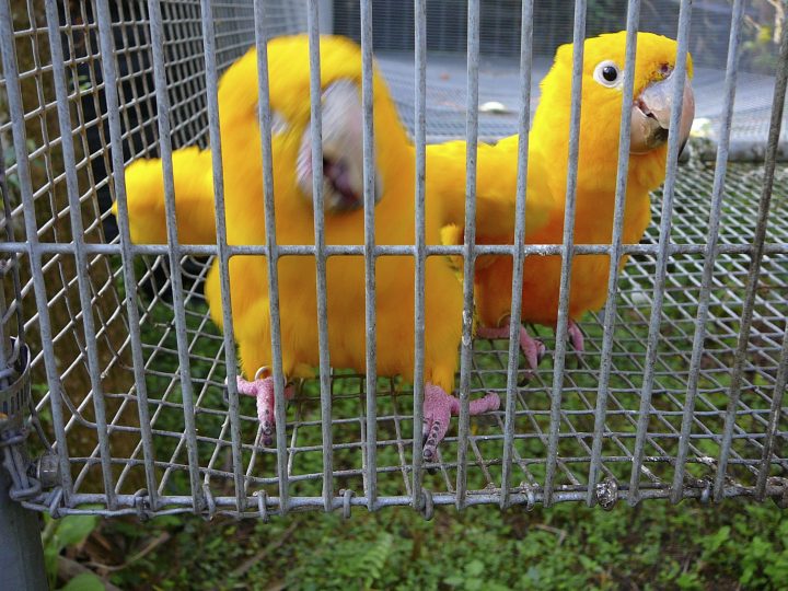 P1010387