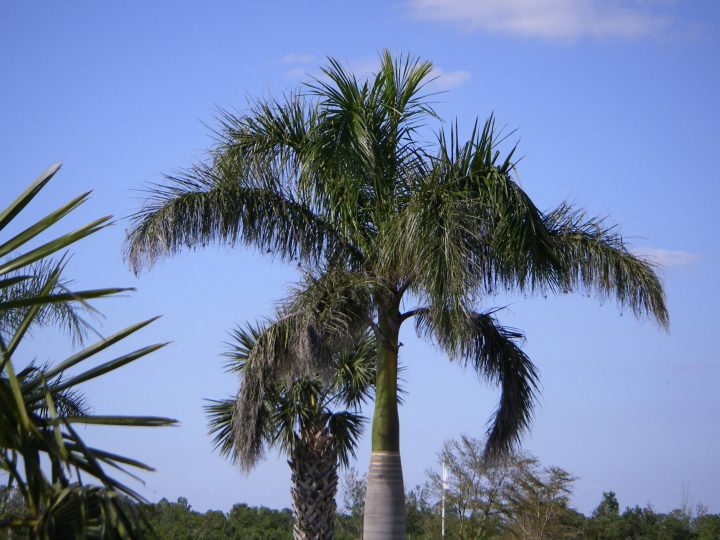 IMGP0027