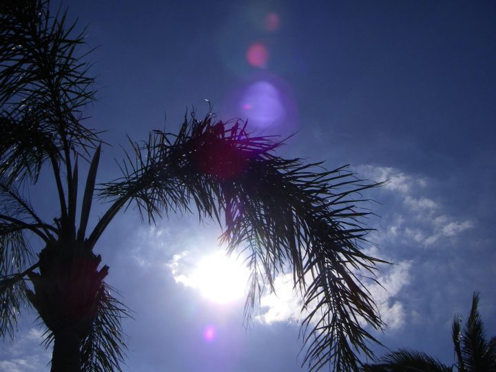 IMGP0029