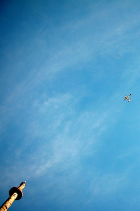 Eagle and Plane