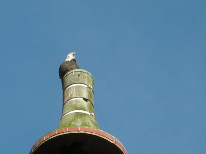 DSCN0131