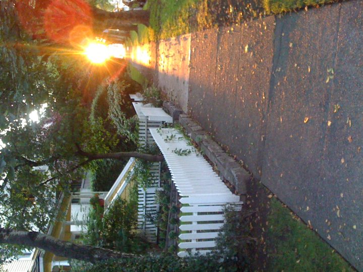 Up for a walk at sunrise