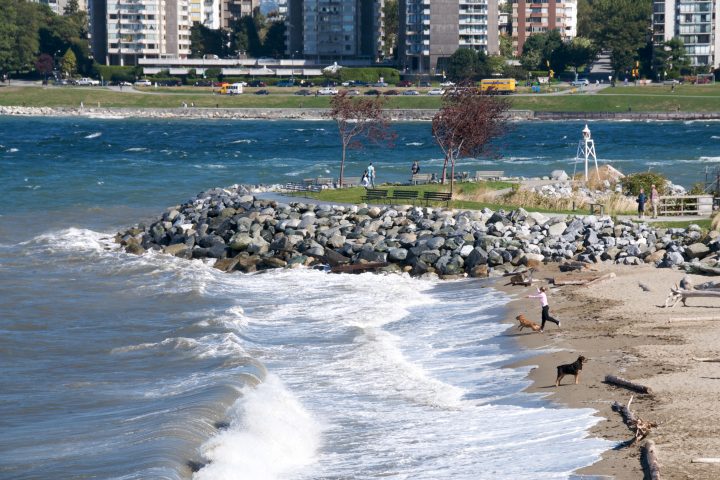 Doggie Beach