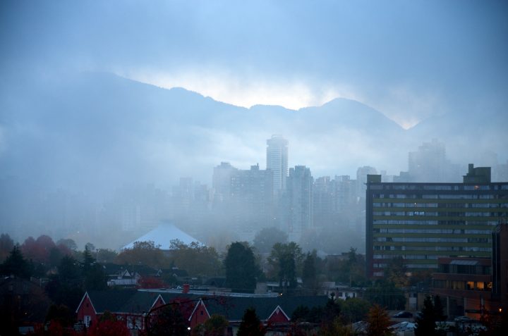 Morning Fog