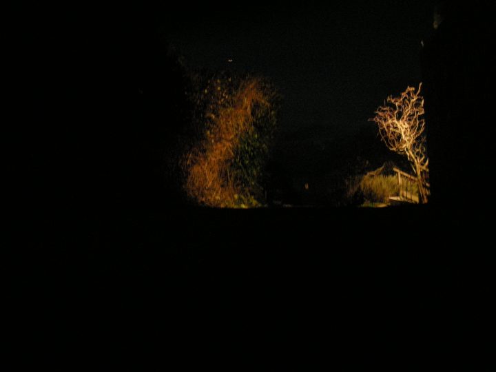 DSCN0251