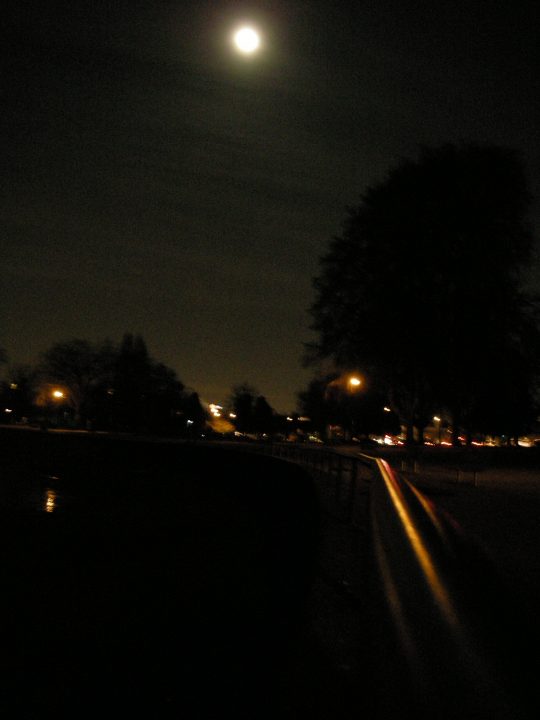 DSCN0261