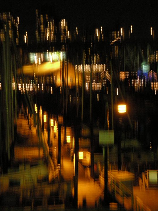 DSCN0294