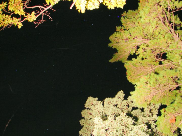 DSC04273
