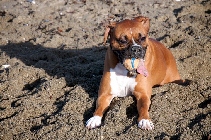 Sand in Mouth