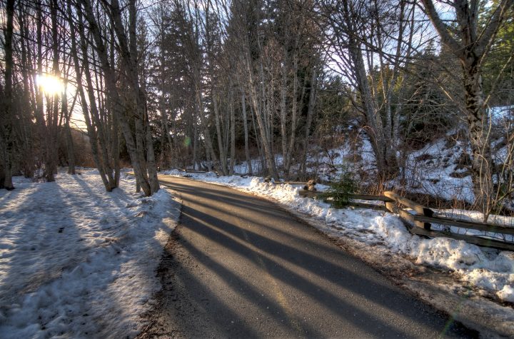 Walk in the Park