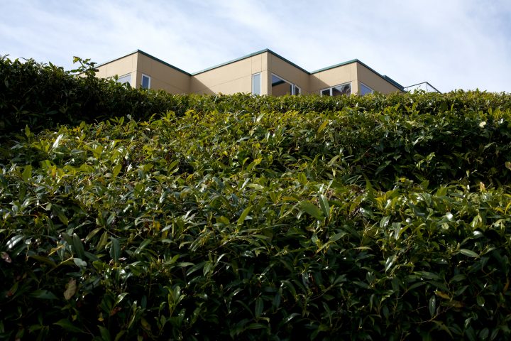 Building and Greenery