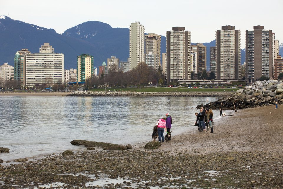Dog Owners at the Dog Beach