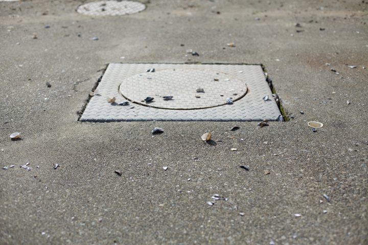 Bird Food Shrapnel