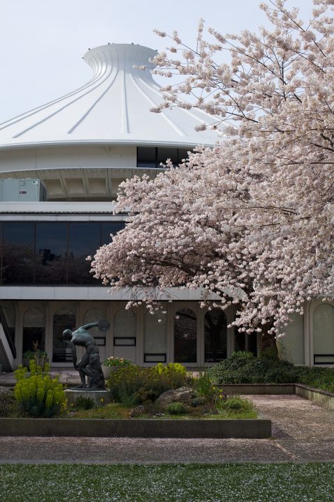 The Museum of Vancouver