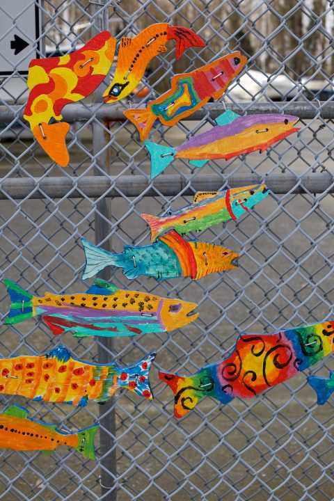 Colorful Fish Art