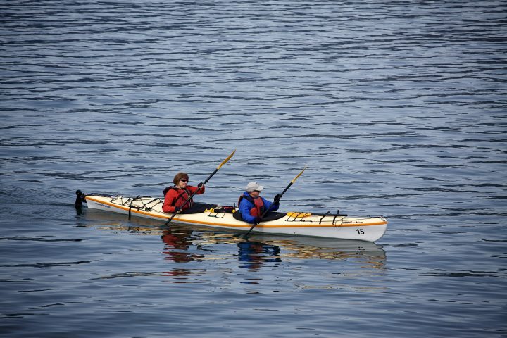 Sea Kayakers