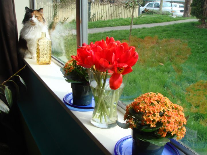 DSC06240
