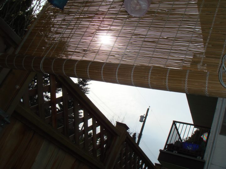 DSC06257
