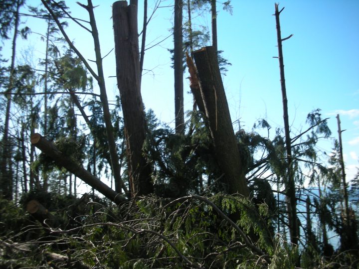 DSCN0489