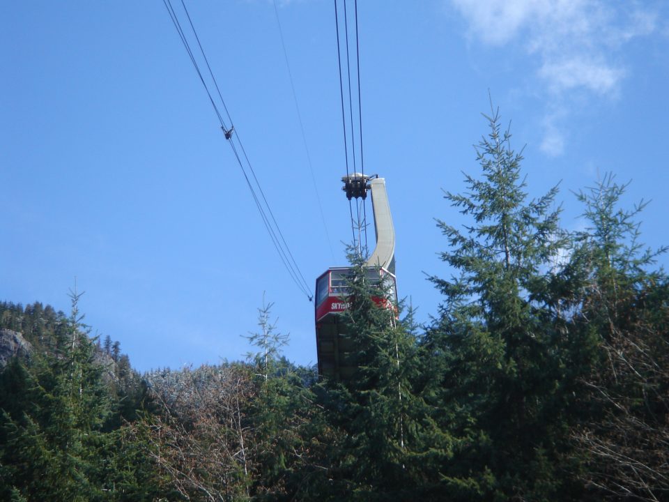 DSC00861