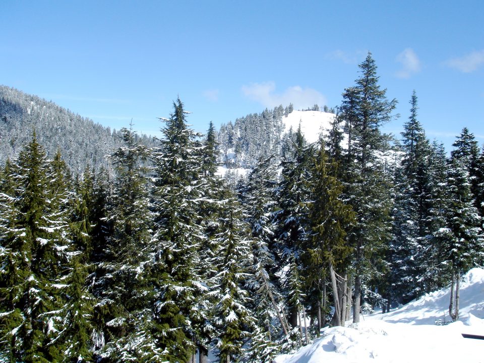 DSC00869