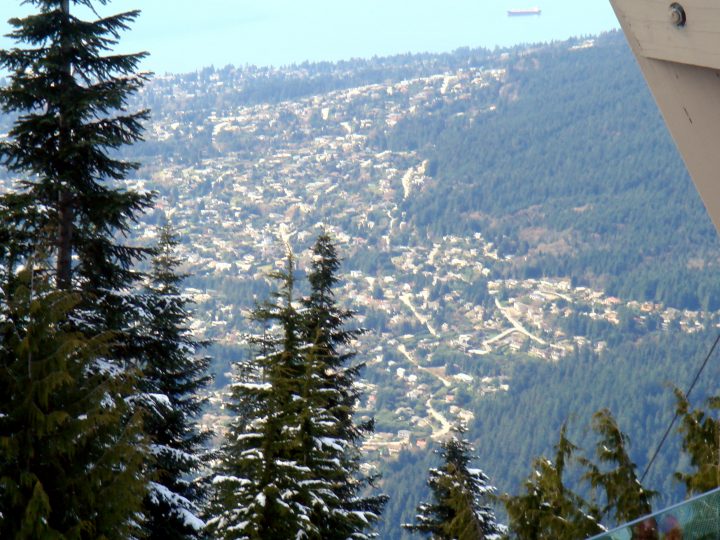 DSC06401