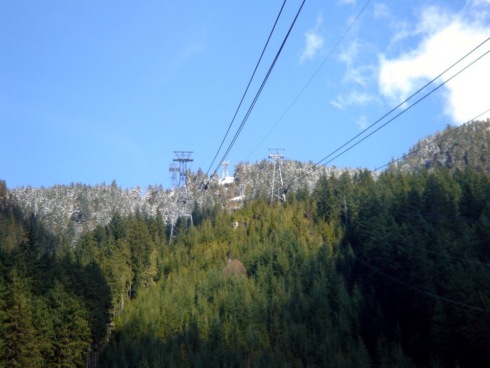 DSC00885