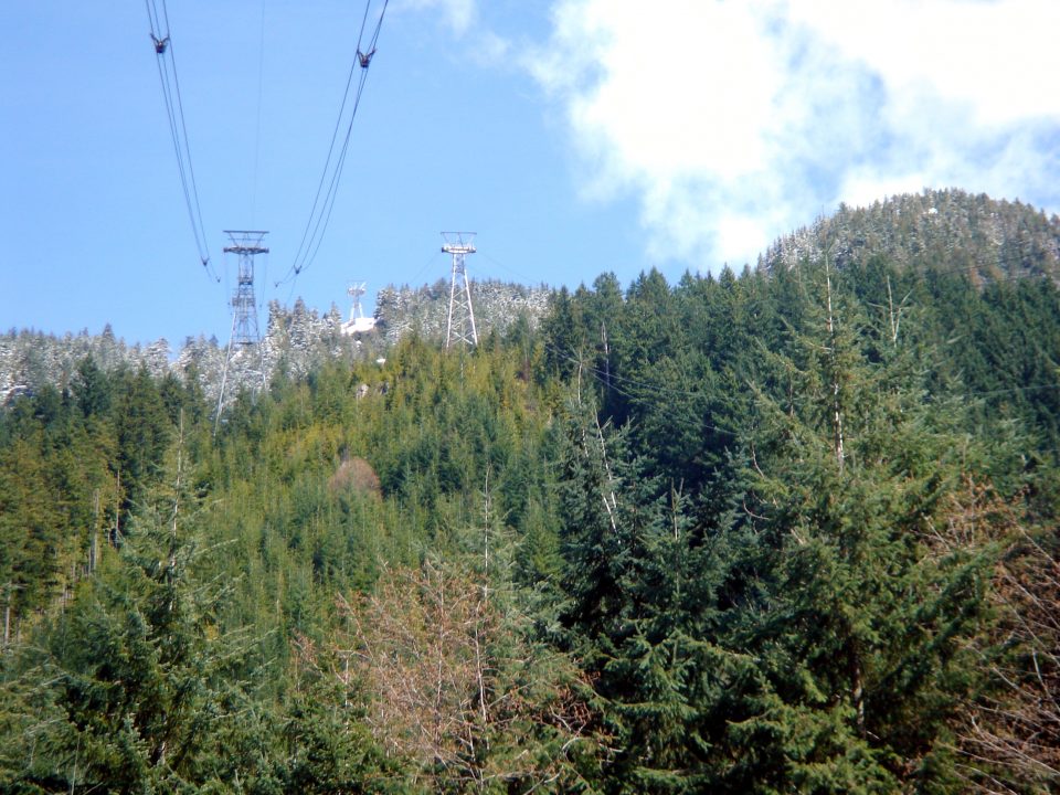 DSC00886