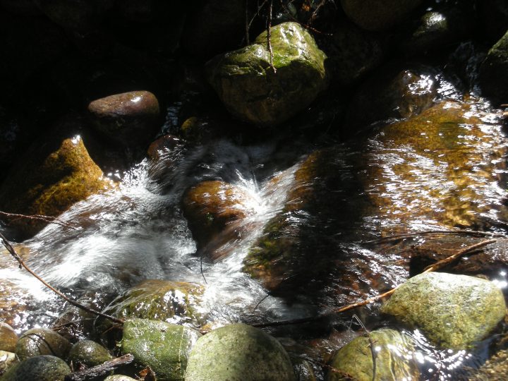 DSCN0629