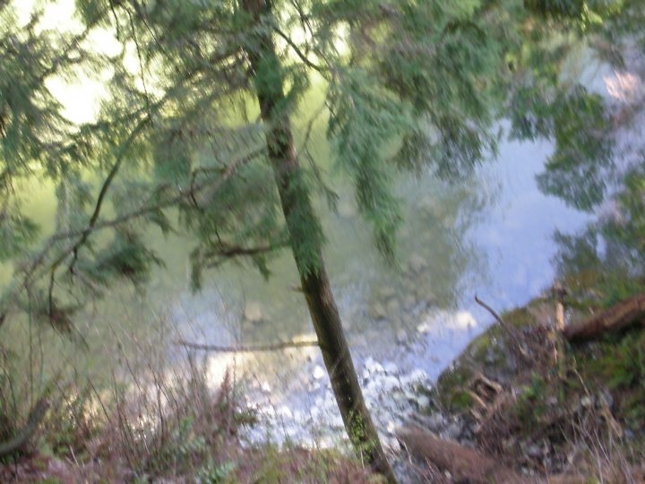 DSCN0641