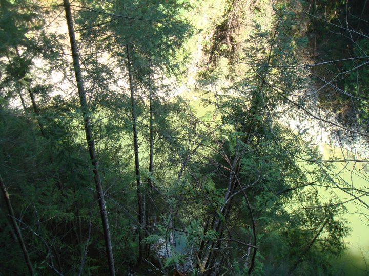 DSC06568