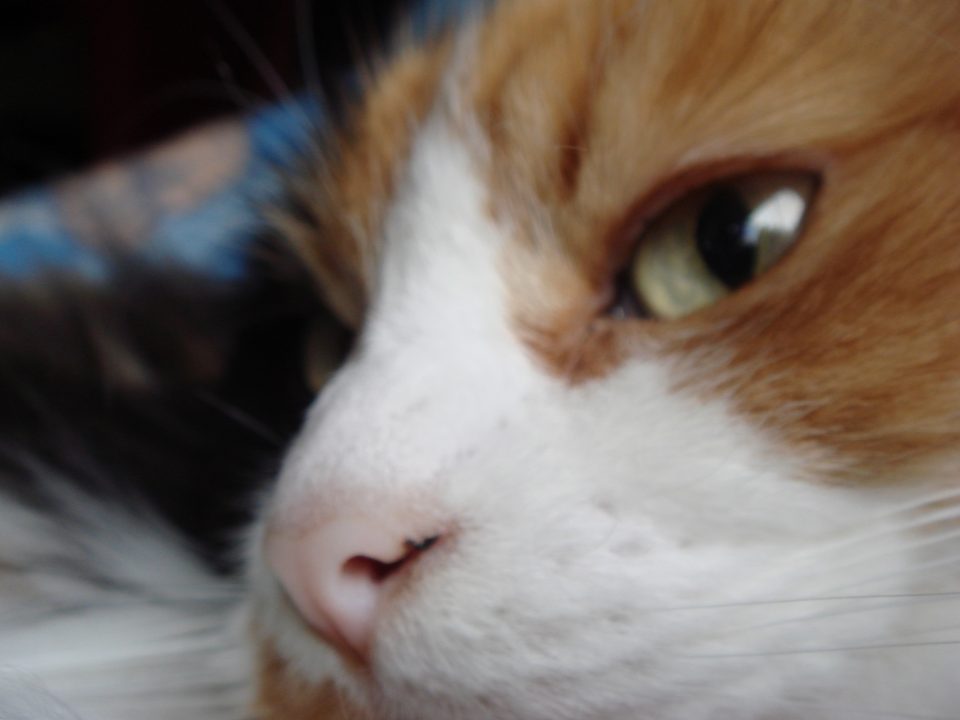 DSC00015