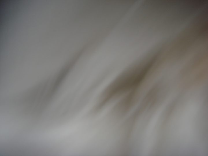 DSC00016