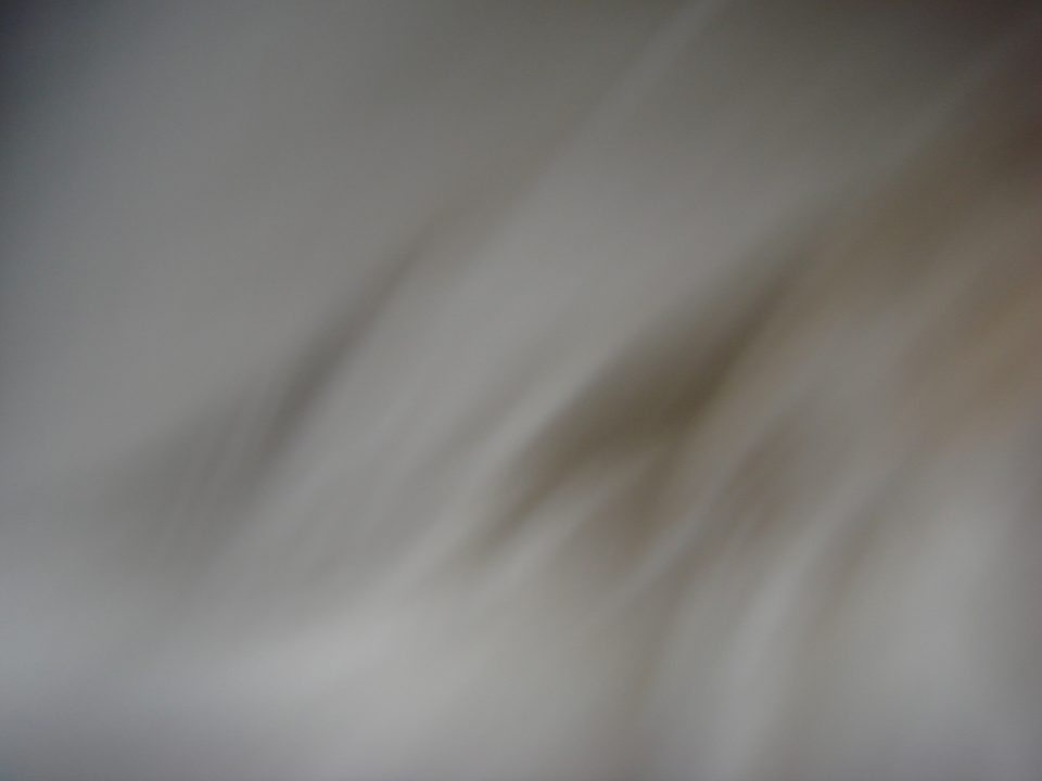 DSC00016