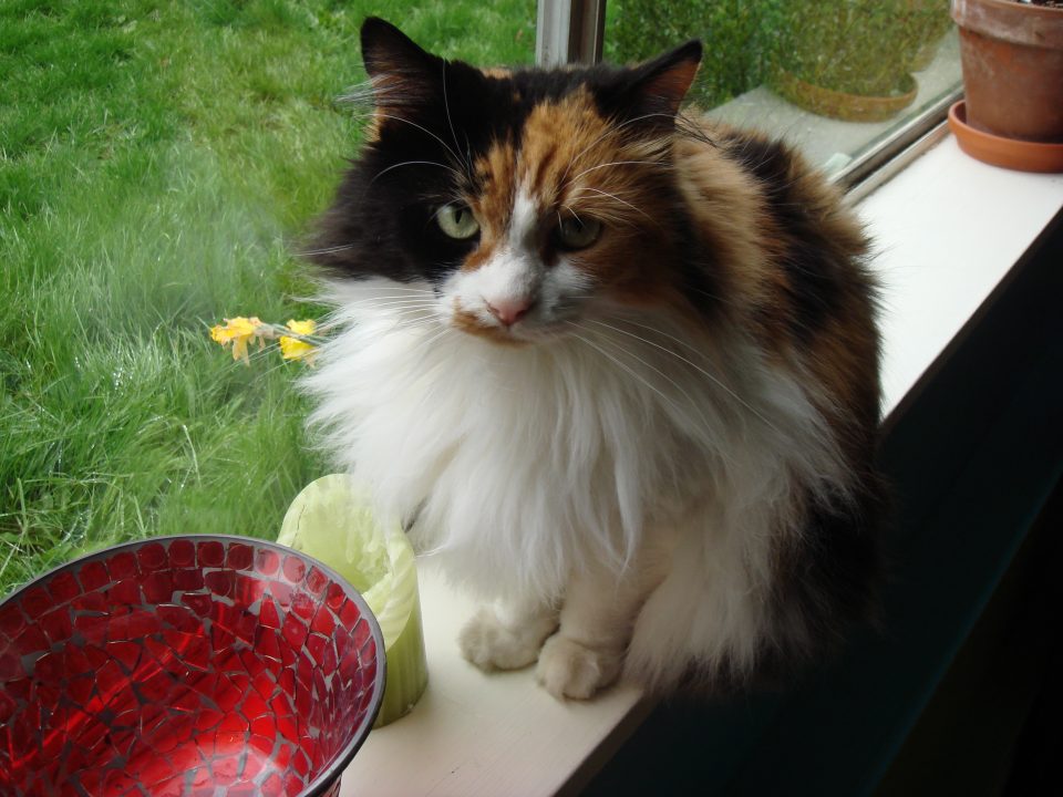 DSC00028