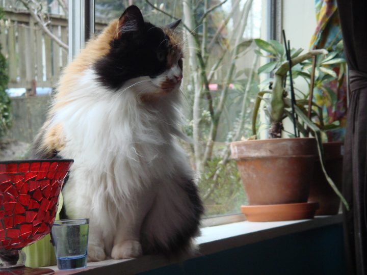 DSC00031