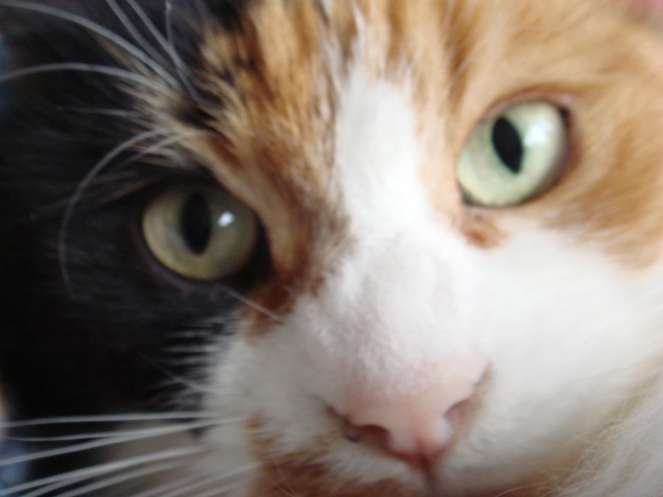 DSC00022