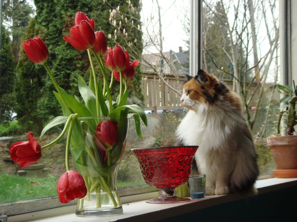 DSC00033